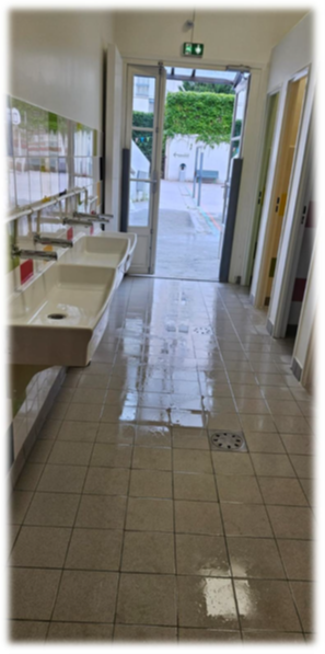 sont essentiels pour